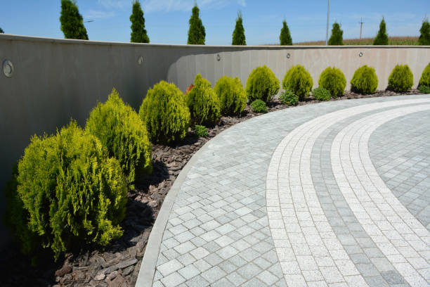 Best Driveway Paving Near Me  in Shawano, WI